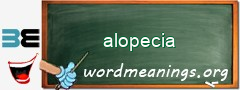 WordMeaning blackboard for alopecia